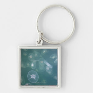 Moon jellyfish key ring