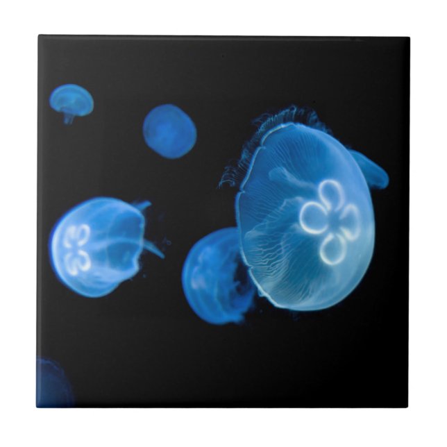 Moon jellyfish no 4 tile (Front)