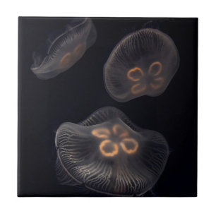 Moon Jellyfish Swimming Tile