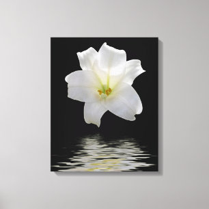 Moon lily canvas print