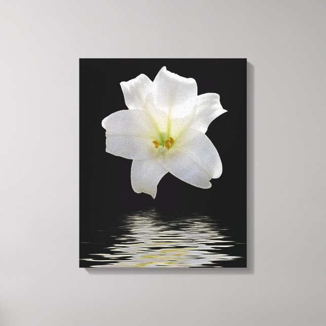 Moon lily canvas print (Front)