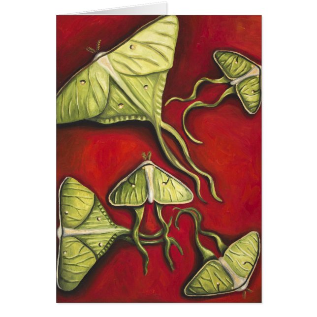Moon Moths (Front)