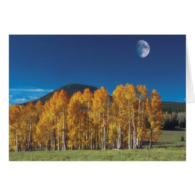 Moon over a landscape, Monument Valley Navajo (Front Horizontal)