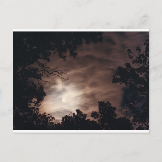 Moon over Charleston Postcard (Front)