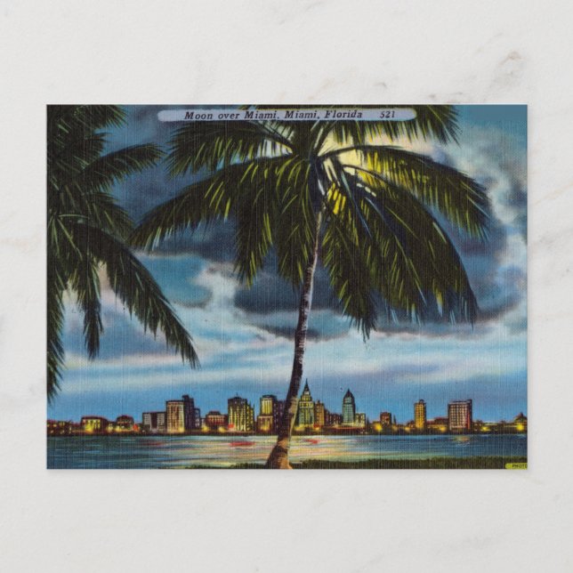 Moon over Miami Florida Postcard (Front)
