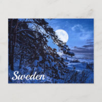 Moon over snowy fir tree and sea coast at night po