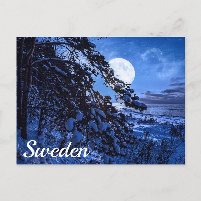 Moon over snowy fir tree and sea coast at night po postcard (Front)