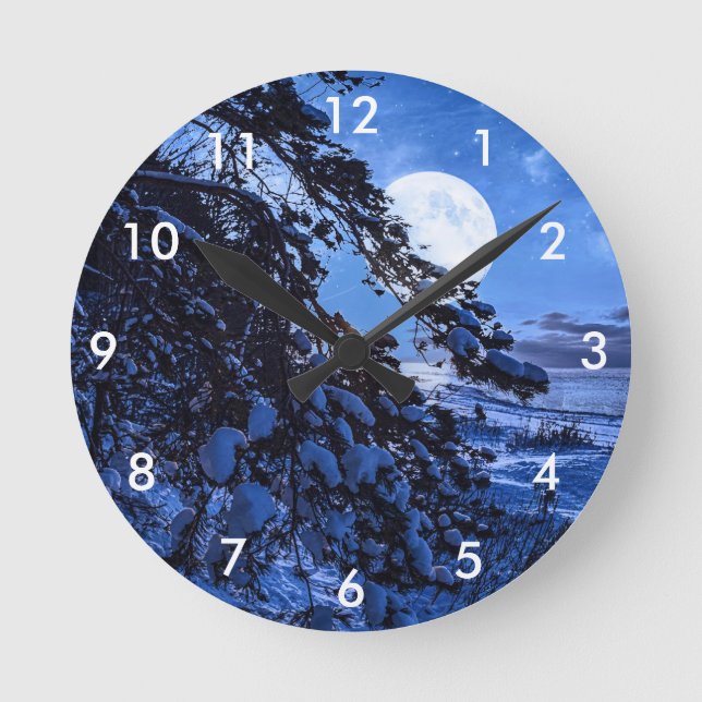 Moon over snowy fir tree and sea coast at night round clock (Front)