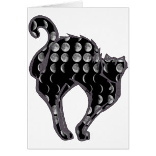 Moon Phase Kitty