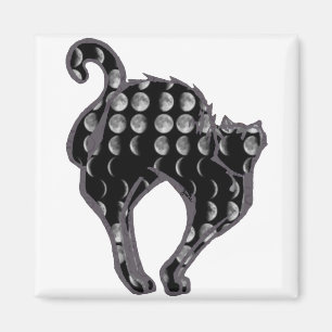 Moon Phase Kitty Magnet