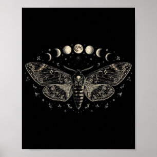 Moon Phases Moth Poster — Death's-Head Moth & Luna