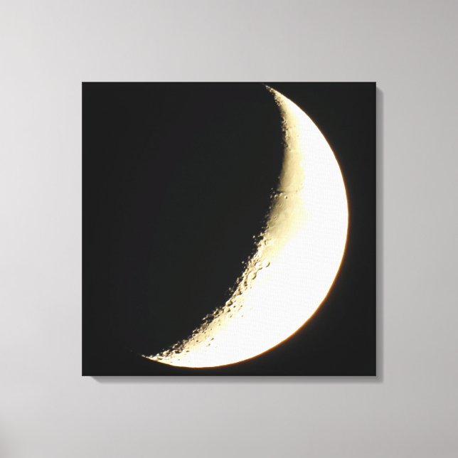 Moon Photography Art Canvas Print (Front)