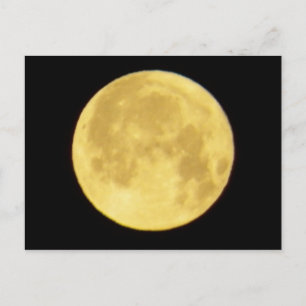 Moon Postcard