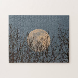 Moon Rising above the Trees    Jigsaw Puzzle