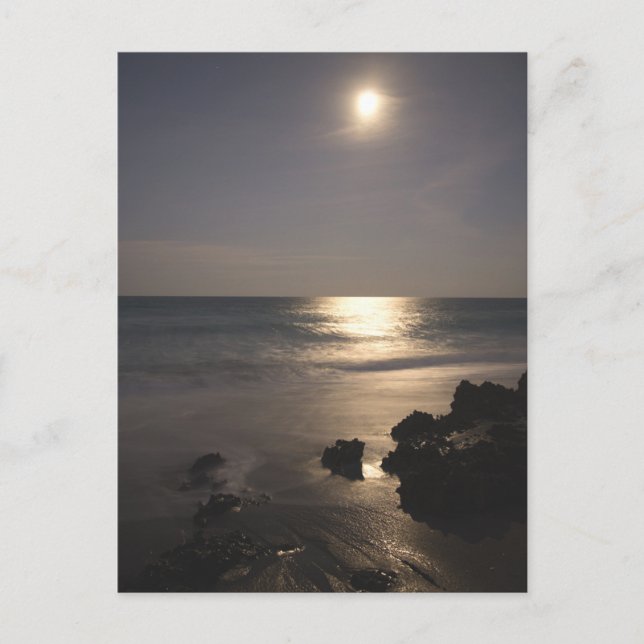 Moon Rising Over Ocean Postcard (Front)