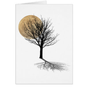 Moon Shadow