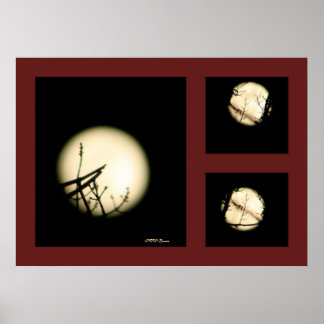 Moon Shadow Print