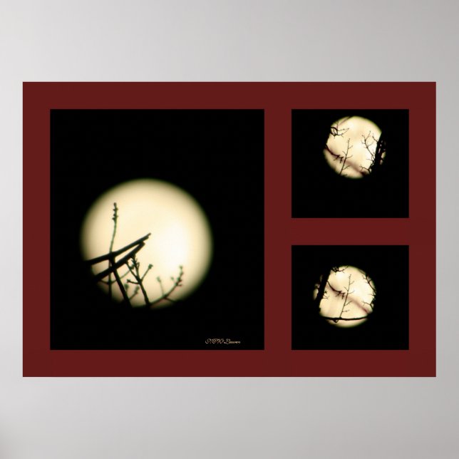 Moon Shadow Print (Front)