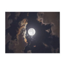 Moon Shine