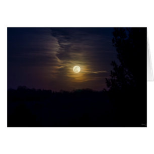 Moon Silhouette