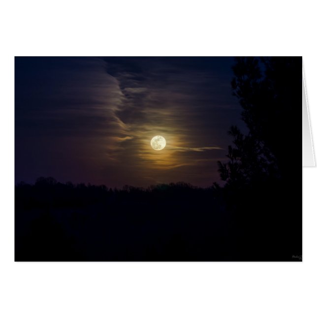 Moon Silhouette (Front Horizontal)