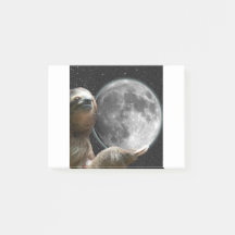 Moon Sloth