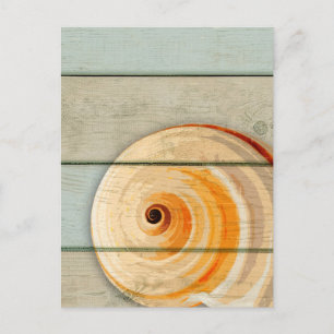 Moon Snail Postcard