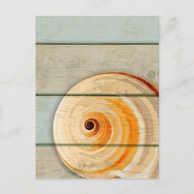 Moon Snail Postcard (Front)