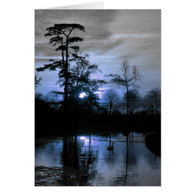 Moon Tree (Front)