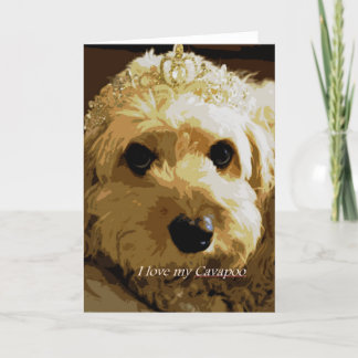Mooncards, Cavapoo, Princess, Pet Greeting Card