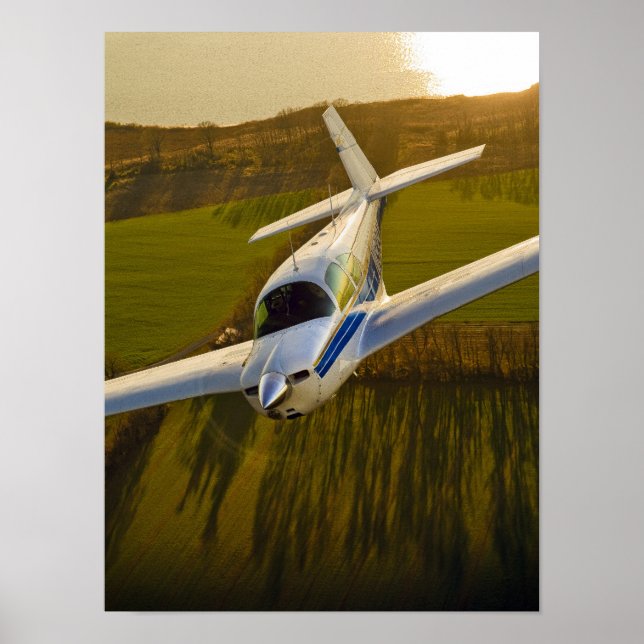 Mooney in Golden Light Poster (Front)