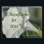 Moonflower Calendar-EDIT YEAR as needed Calendar<br><div class="desc">Moonflowers have the most exotic fragrance as well as being uniquely beautiful. Enjoy seeing moonflowers every day with this calendar or buy several for gifts. You can personalise them if desired--noting special dates or birthdays if you wish. To see matching moonflower items including cards, stamps, mugs, t-shirts and more- go...</div>