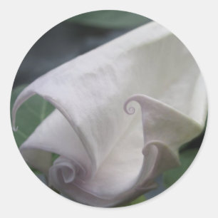 Moonflower Classic Round Sticker