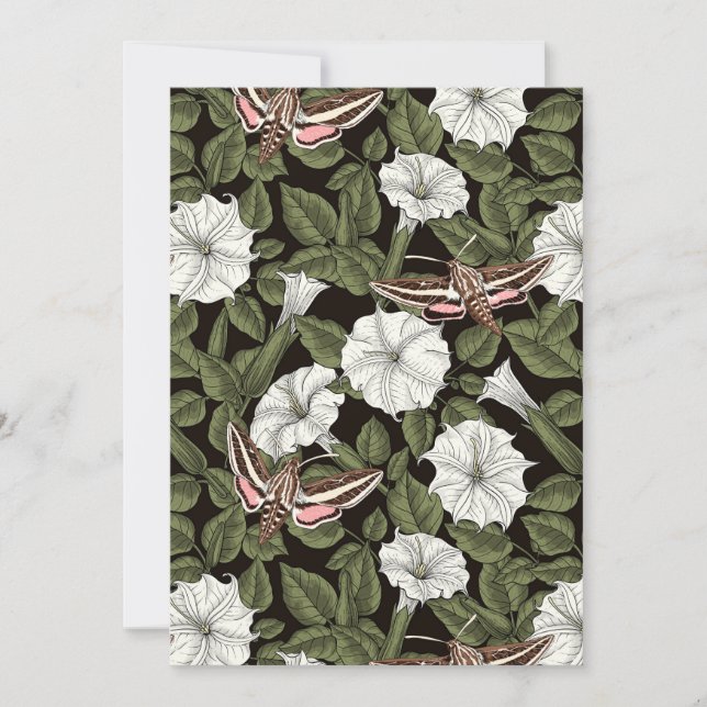 Moonflowers and sphinx moths (Front)