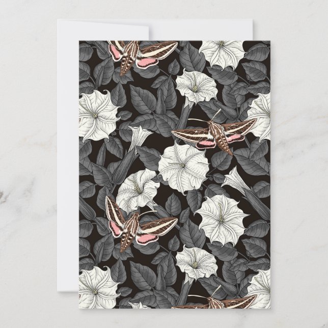 Moonflowers and sphinx moths 2 (Front)