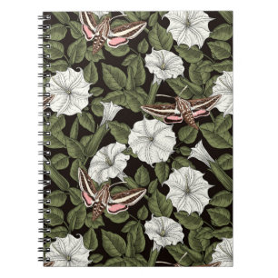 Moonflowers and sphinx moths notebook
