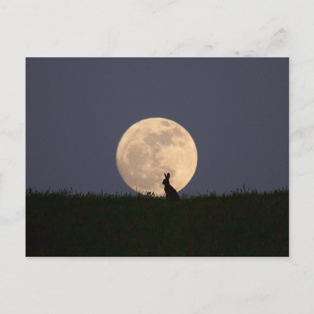 Moongazer Postcard (Front)