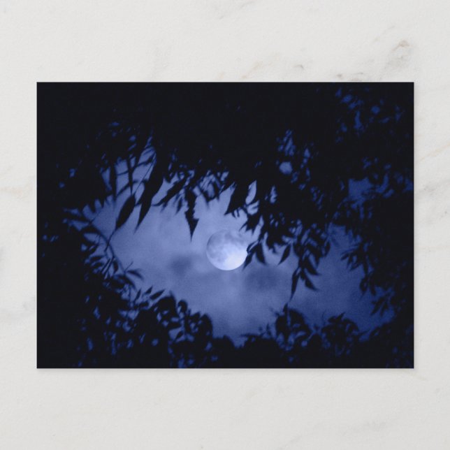 Moonglow Postcard (Front)