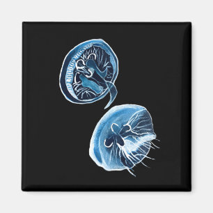 MoonJellyfish watercolor art Magnet