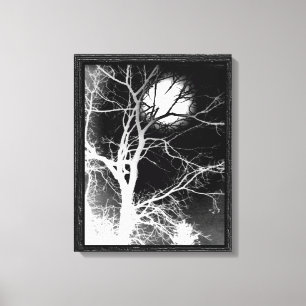 Moonlight Canvas Print