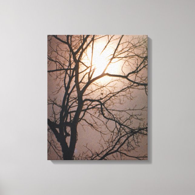 Moonlight Dream Canvas Print (Front)