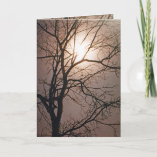 Moonlight Dream Card