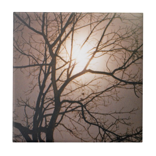 Moonlight Dream Tile (Front)