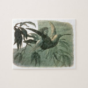 Moonlight Flight Elf Fairies Nature Rich Drawing Jigsaw Puzzle