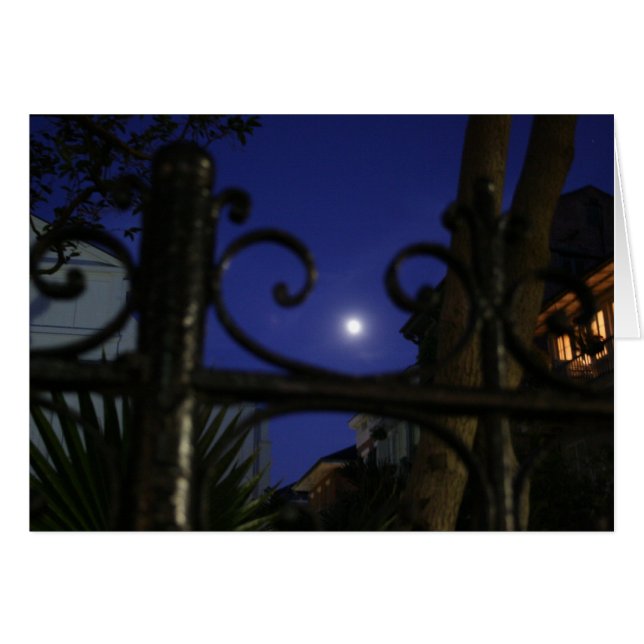 Moonlight in the Big Easy Card (Front Horizontal)