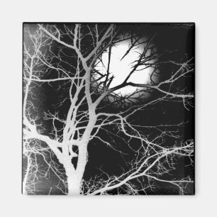 Moonlight Magnet