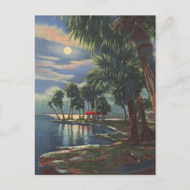 Moonlight Over Florida Tropical Waters Postcard (Front)