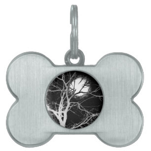 Moonlight Pet ID Tag