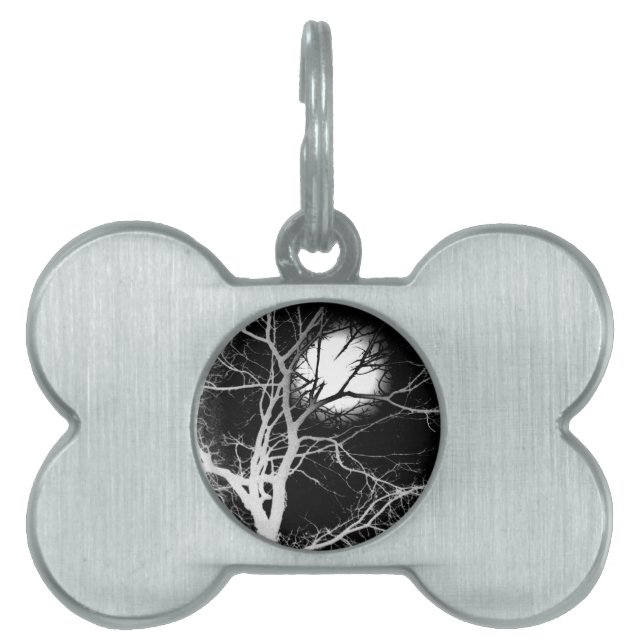 Moonlight Pet ID Tag (Front)
