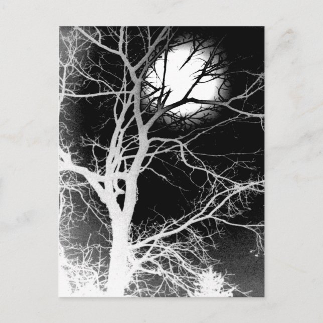 Moonlight Postcard (Front)